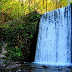 Sapanca Maşukiye Kartepe Turu